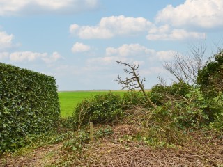 Lageweg  Lageweg 13 in Ossenisse